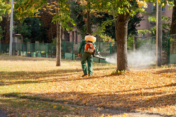 Best Pest Removal Services  in Sioux City, IA