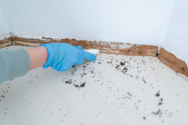 Best Pest Control Treatment  in Sioux City, IA